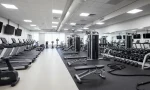 Essential Gym Equipment