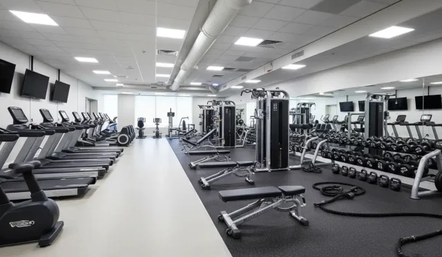 Essential Gym Equipment