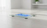 smart body scale