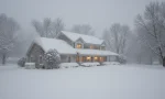 Best backup generators for winter power outages in Michigan