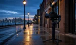 Best gimbal stabilizers for New Jersey street filming