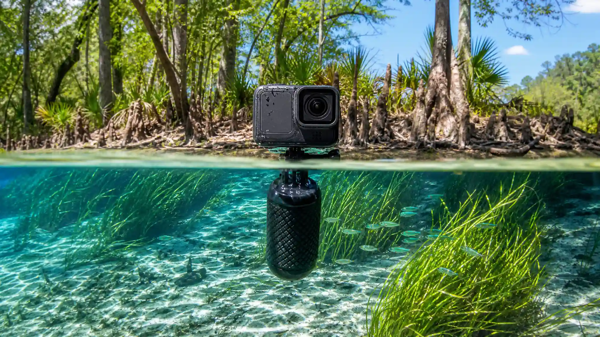 Best Waterproof Action Cameras for Florida Springs Snorkeling