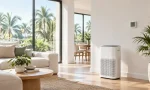 Best Air Purifiers for Florida Humidity and Mold Control